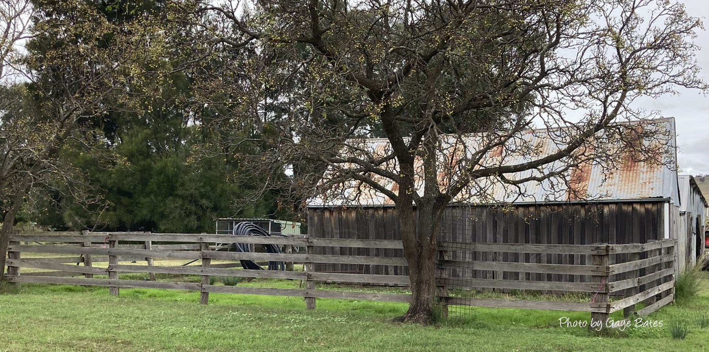 Merriwa District Progress Association